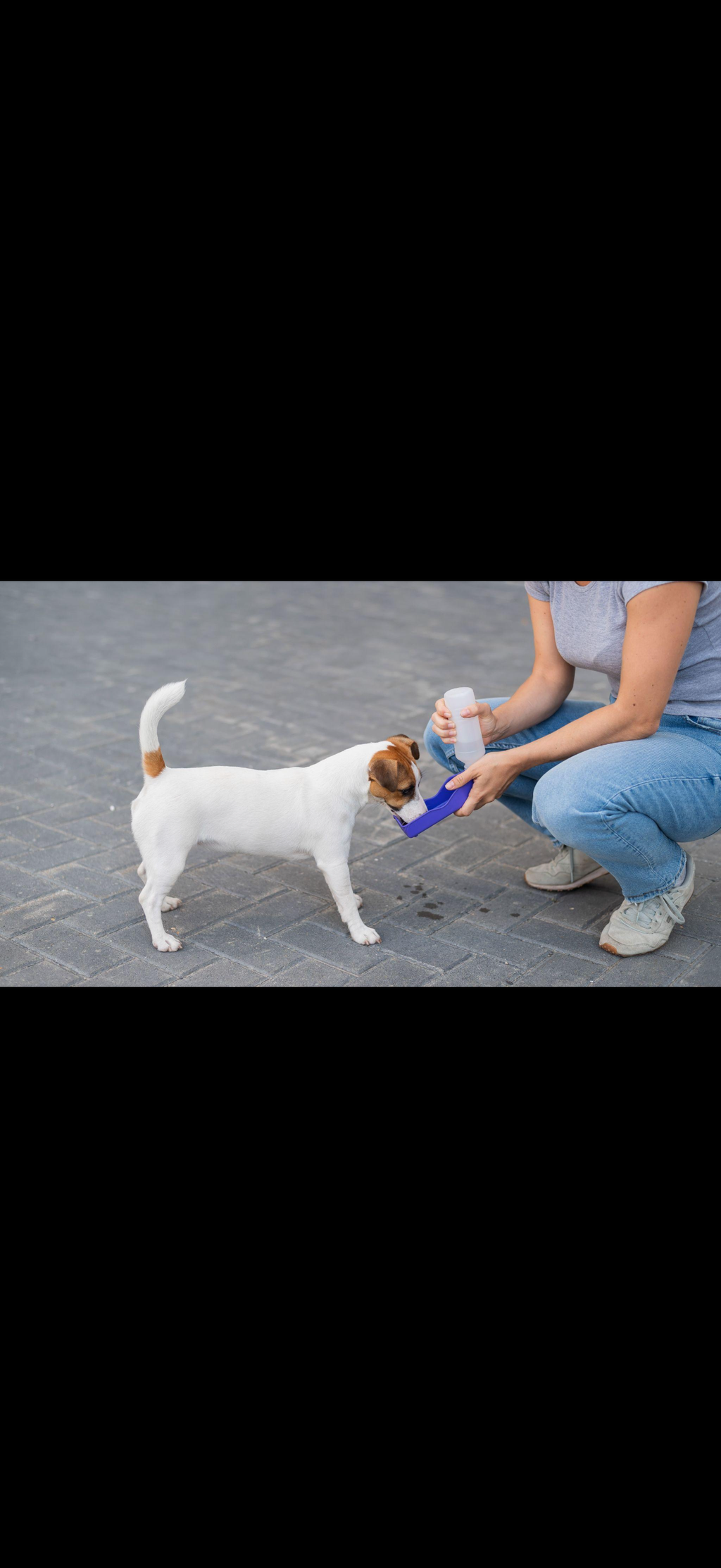 Botella Portátil para Perros