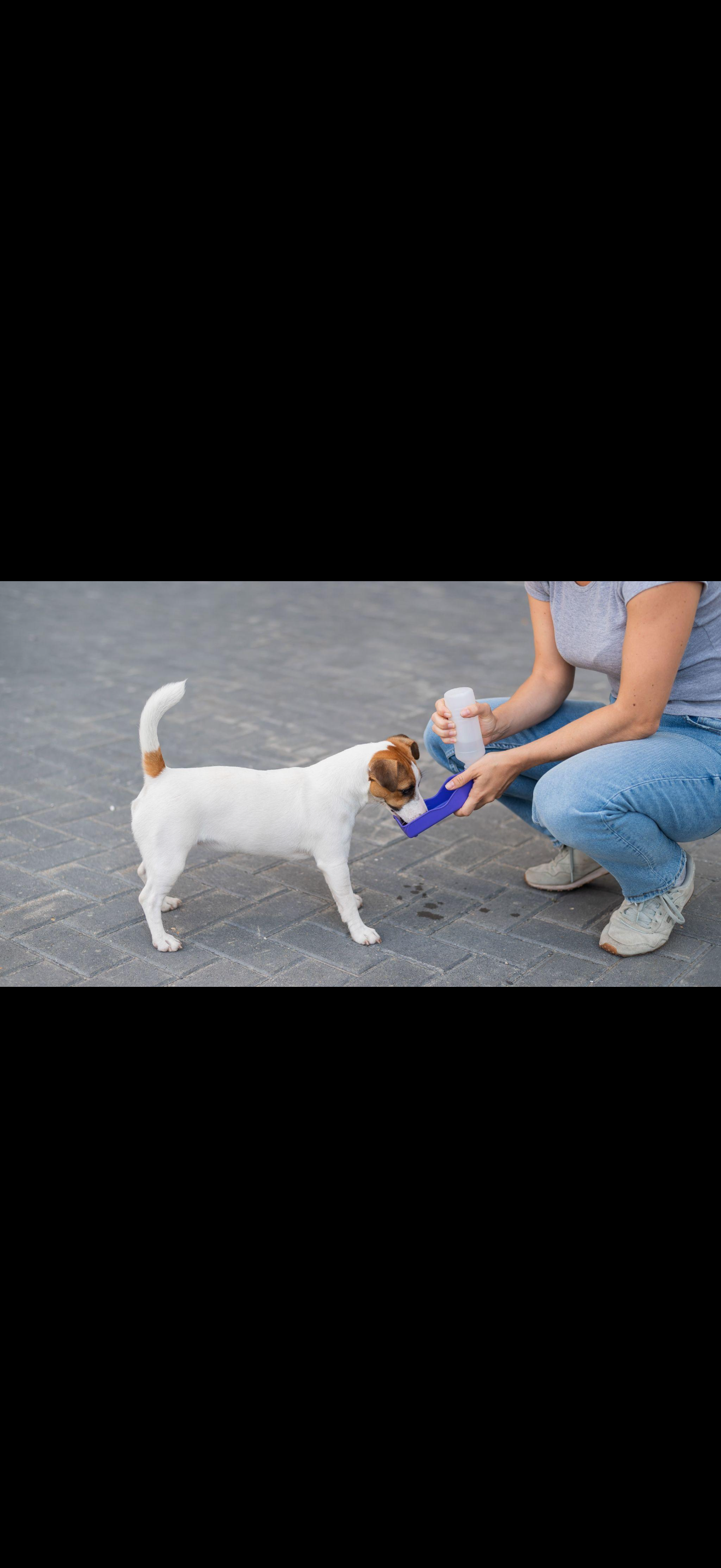 Botella Portátil para Perros