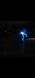 Luz LED para Collar