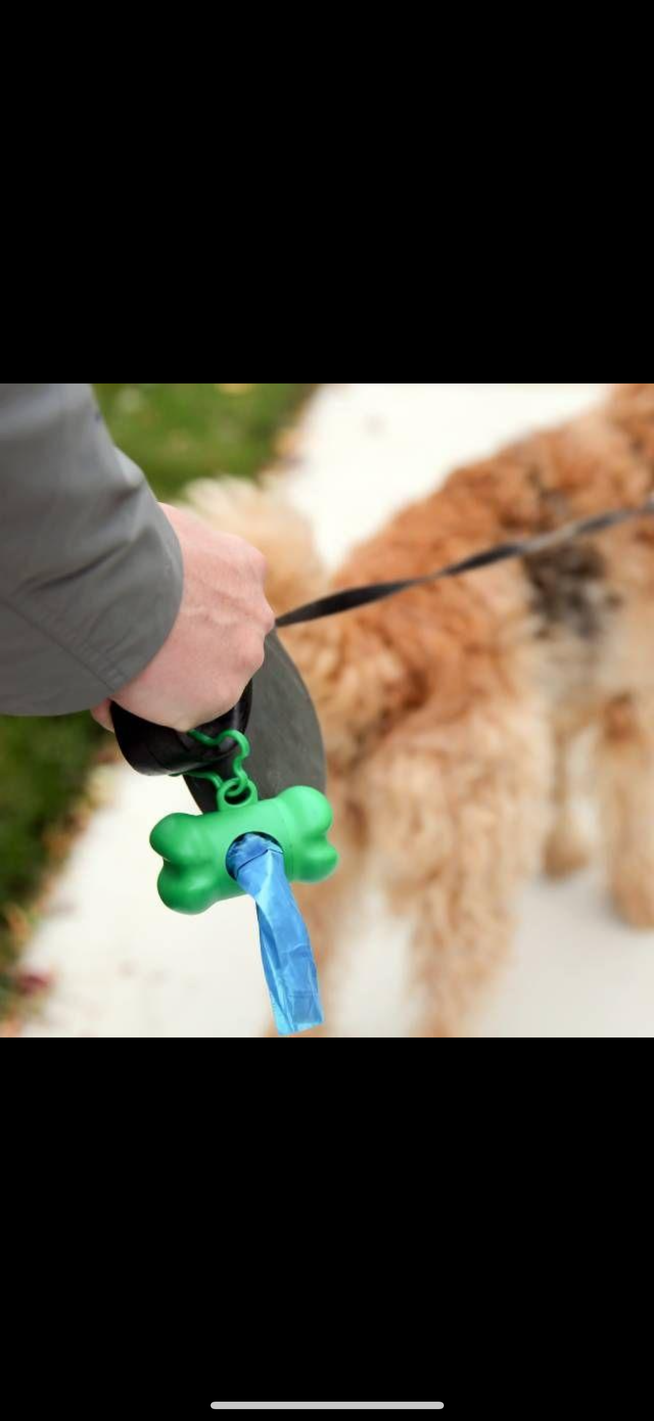 Dispensador de Bolsas Compacto